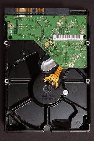 Western Digital wd5000aaks Disco Duro de 500 GB